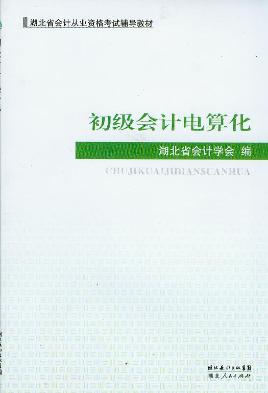 初级会计电算化